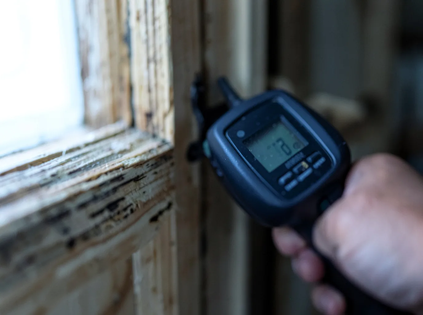 Moisture Inspection And Documentation in Westfield, ME